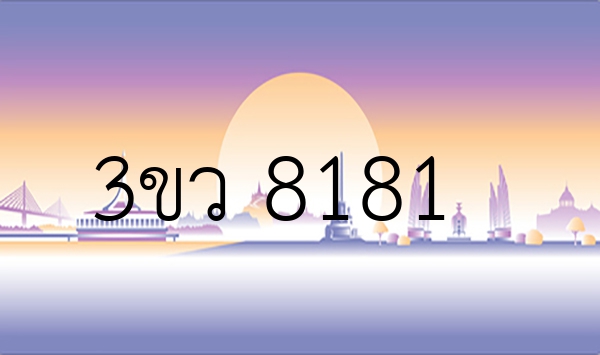 3ขว 8181
